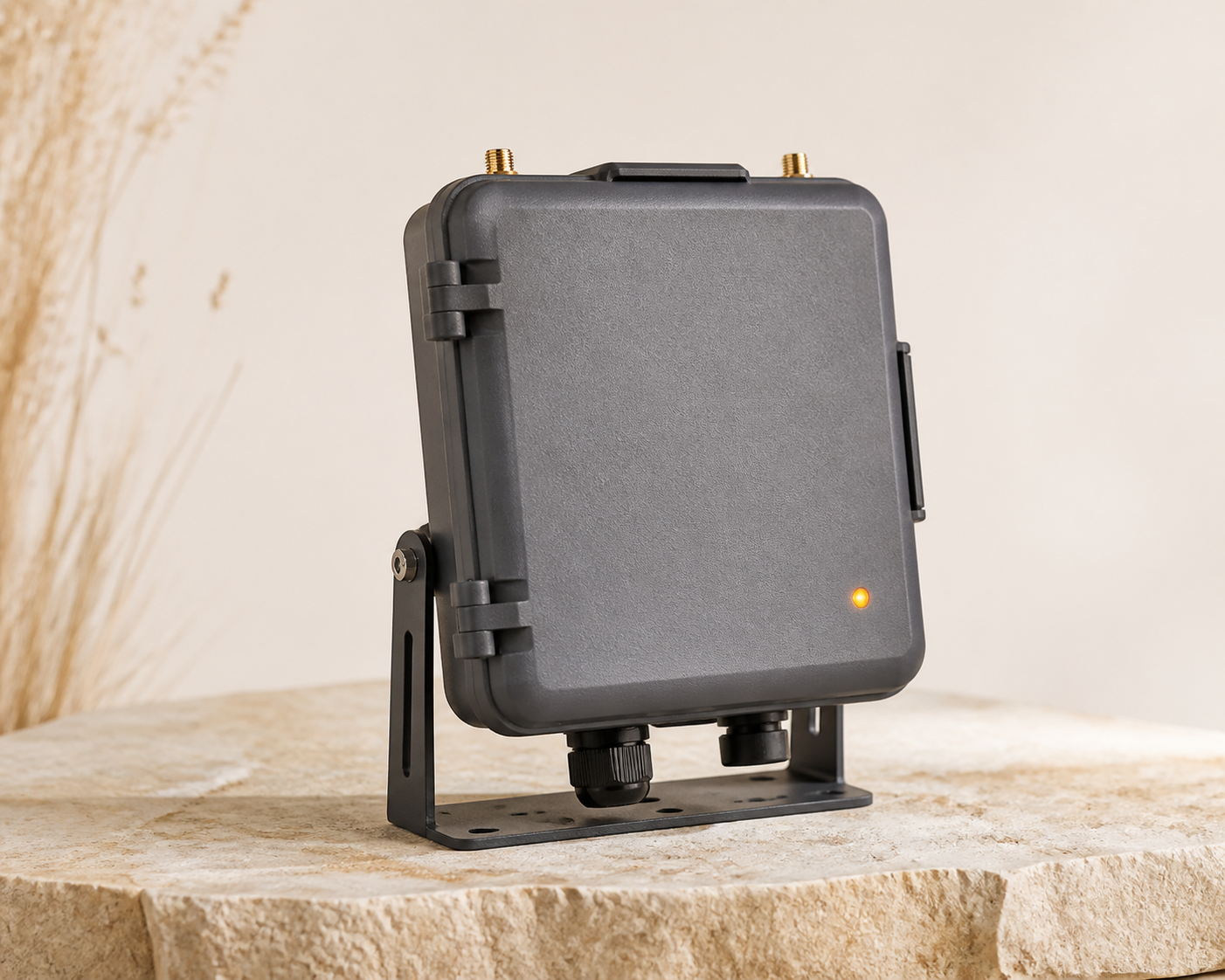 DroneDingo appliance enclosure concept