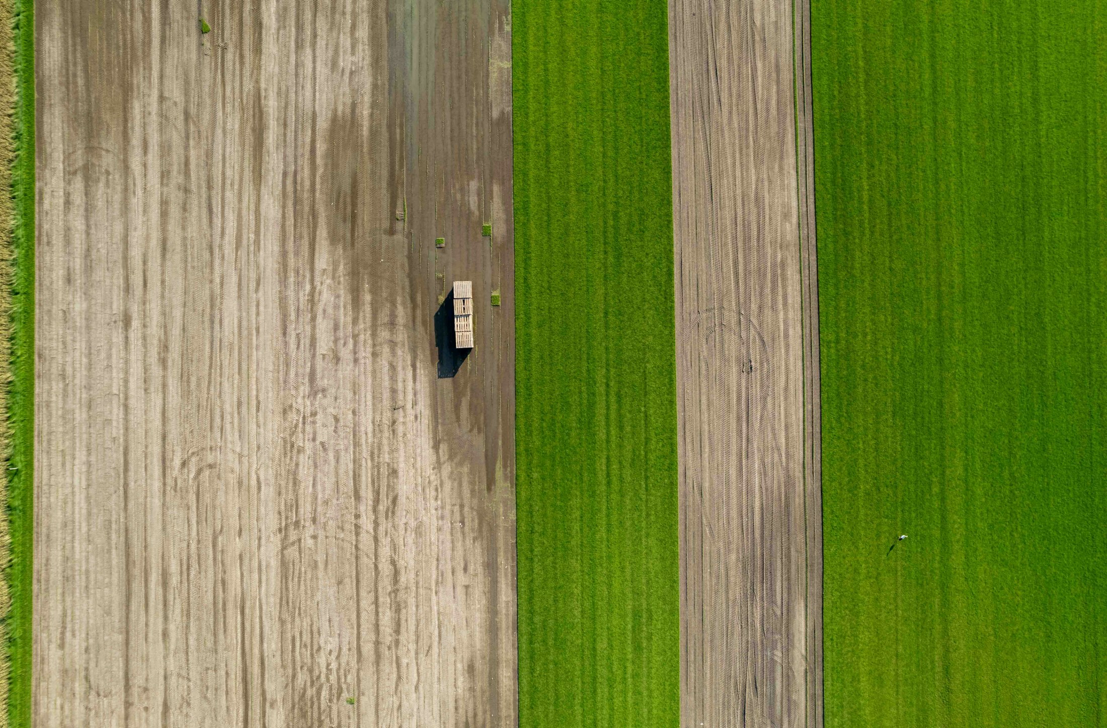 Aerial agricultural field and machinery